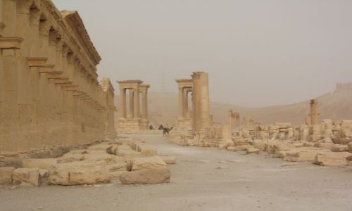 Zdjecie SYRIA / brak / Palmyra / Palmyra