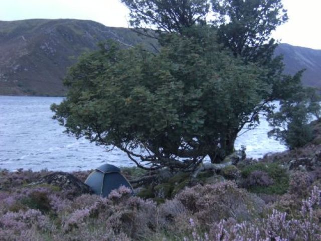 Zdjęcia: Grampiany, nocleg-Loch Muick, SZKOCJA Zdjęcia: Grampiany, nocleg-Loch Muick, SZKOCJA