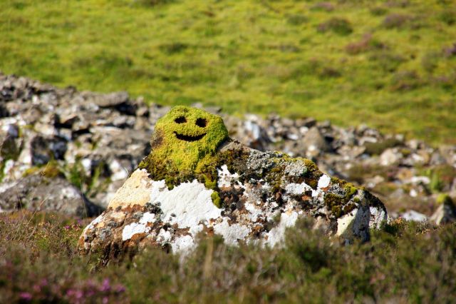 Zdjęcia: Trotternish, Wyspa Skye, Duchy Gór :), SZKOCJA Zdjęcia: Trotternish, Wyspa Skye, Duchy Gór :), SZKOCJA