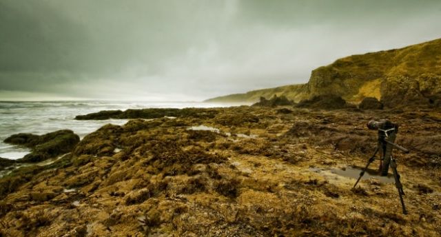 Zdjęcia: St Cyrus, Notrh East, St Cyrus, SZKOCJA Zdjęcia: St Cyrus, Notrh East, St Cyrus, SZKOCJA