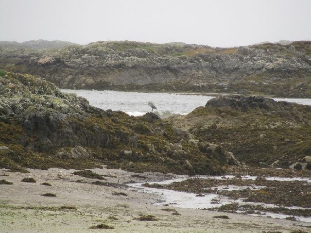 Zdjęcia: Zachodnia Szkocja, szkockie plaże, SZKOCJA Zdjęcia: Zachodnia Szkocja, szkockie plaże, SZKOCJA