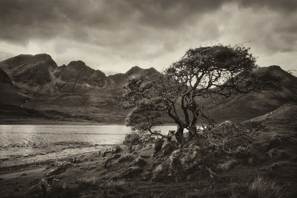 Zdjęcia: Isle of Skye, Isle of Skye, Isle of Skye, SZKOCJA Zdjęcia: Isle of Skye, Isle of Skye, Isle of Skye, SZKOCJA