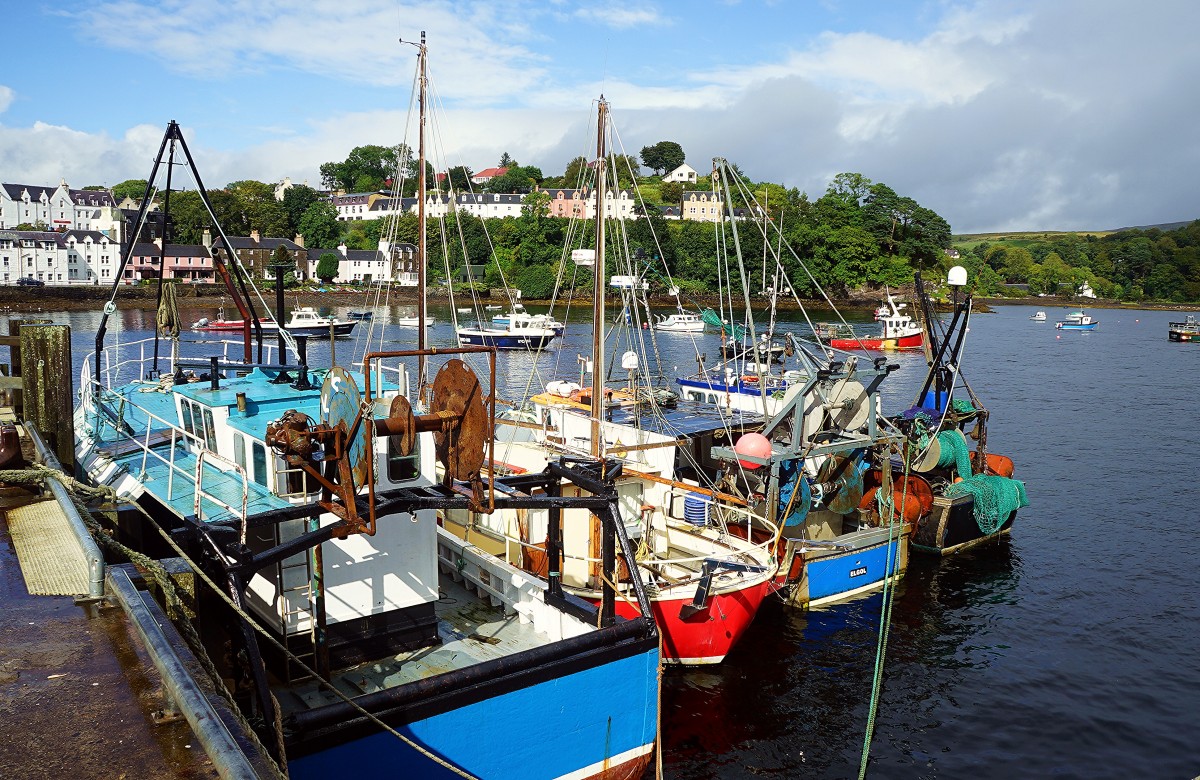 Zdjęcia: Portree, Wyspa Skye, W porcie, SZKOCJA Zdjęcia: Portree, Wyspa Skye, W porcie, SZKOCJA