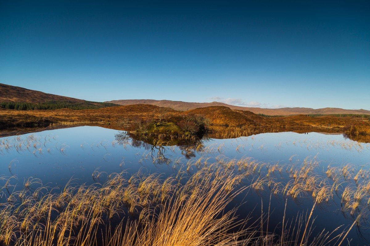 Zdjęcia: Sligahan, Wyspa Skye, Mokradła Sligahan, SZKOCJA Zdjęcia: Sligahan, Wyspa Skye, Mokradła Sligahan, SZKOCJA