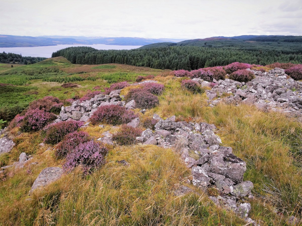 Zdjęcia: Kamienny fort BARR IOLA, Półwysep Cowal, Wrzosowo i prehistorycznie, SZKOCJA Zdjęcia: Kamienny fort BARR IOLA, Półwysep Cowal, Wrzosowo i prehistorycznie, SZKOCJA