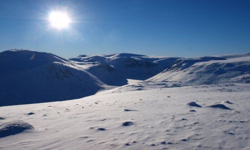 Zdjecie SZKOCJA / Higland / Cairngorms / Cairngorms
