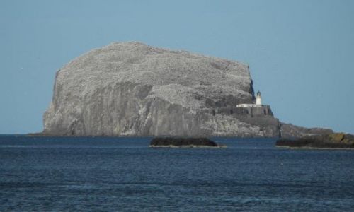 Zdjcie SZKOCJA / - / North Berwick / North Berwick - latarnia na skalistej wysepce Baas Rock