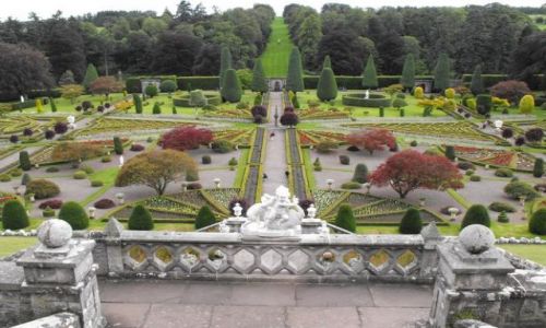 Zdjęcie SZKOCJA / - / Crieff / Drummond Castle Gardens