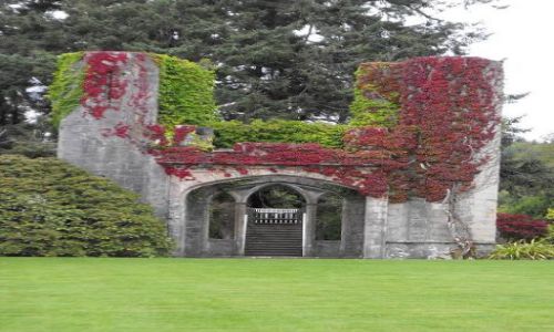 Zdjęcie SZKOCJA / - / Armdale / Armdale Castle Gardens
