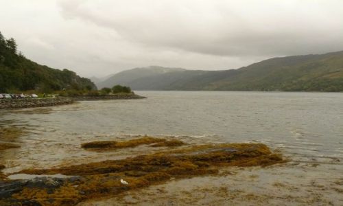 Zdjecie SZKOCJA / Highlands and Islands / Isle of Skye / Kyle of Lochalsh