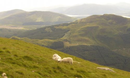 Zdjecie SZKOCJA / brak / Fort Wiliam- Ben Nevis / .