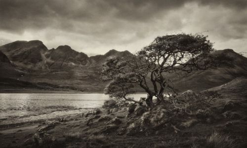 Zdjecie SZKOCJA / Isle of Skye / Isle of Skye / Isle of Skye