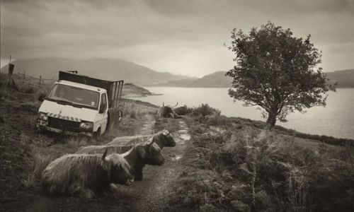 Zdjecie SZKOCJA / Isle of Skye / Isle of Skye / Isle of Skye