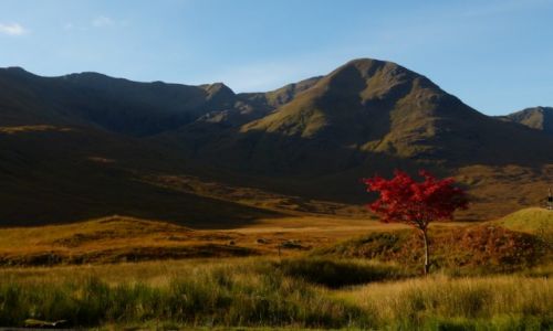 Zdjecie SZKOCJA / Highlands / W drodze na wysp Skye / KONKURS