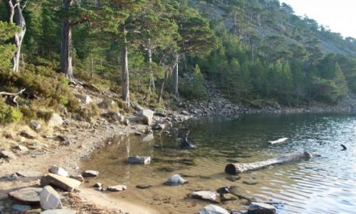 Zdjęcie SZKOCJA / Aviemore / Green Lake / Zielone Jezioro