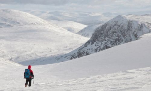 Zdjcie SZKOCJA / Highland / Cairngorms plateau / Szkocja