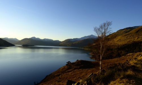 Zdjęcie SZKOCJA / Highlands / Loch  Quoich / Samotna z widokiem