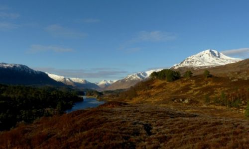 Zdjecie SZKOCJA / Highlands / Glen Affric / Poranek w  szkockich gorach