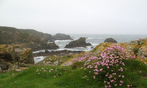 Zdjecie SZKOCJA / Aberdeenshire / Slains Castle / Klify KONKURS NATURA