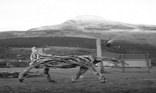 Zdjecie SZKOCJA / - / GLEN COE / Ko