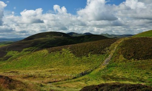 Zdjęcie SZKOCJA / Pentland Hills / Edynburg / Zielone wzgórza nad....