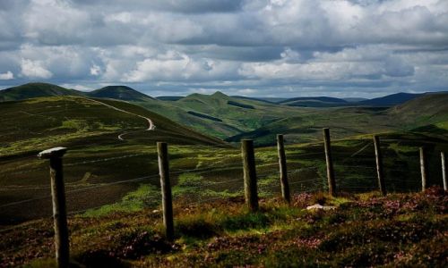 Zdjęcie SZKOCJA / Pentland Hills / Edynburg / Zielone wzgórza nad....