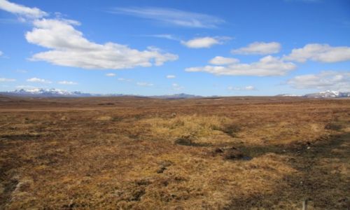 Zdjecie SZKOCJA / Lairg / Okolice Crask / Szkocja 3/3