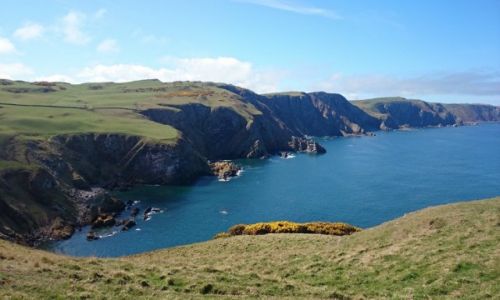 Zdjęcie SZKOCJA / st abbs / st abbs / klify