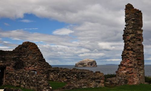 Zdjcie SZKOCJA / wschodnia Szkocja / Bass Rock / Bass Rock