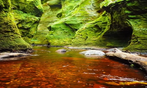 Zdjecie SZKOCJA / - / devil's pulpit finnich glen / devil's pulpit finnich glen