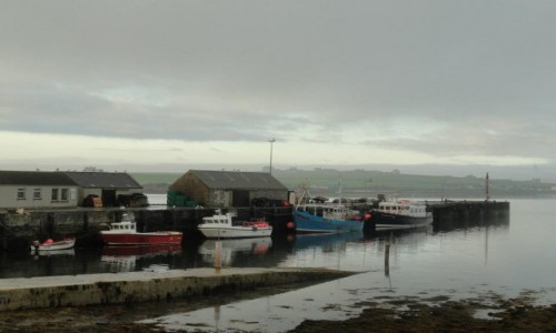 Zdj�cie SZKOCJA / Orkady / Pierowall / Szkocja