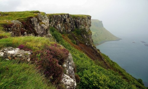 Zdjcie SZKOCJA / Wyspa Skye / Portree / Ze spaceru