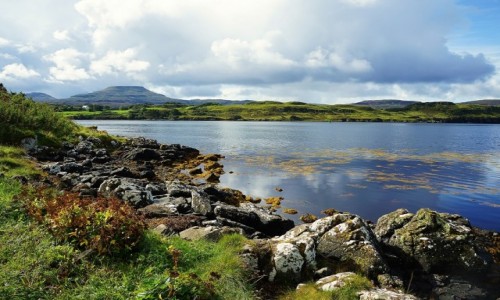 Zdjcie SZKOCJA / Wyspa Skye / Zamek Dunvegan / Loch Dunvegan