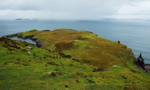Zdjcie SZKOCJA / Wyspa Skye / Duntulum / Okolice Lookout bothy