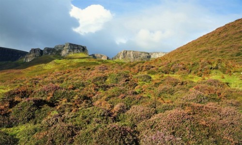 Zdjecie SZKOCJA / Wyspa Skye / Gry Quiraing  / Przez wrzosowisko