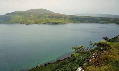 Zdjęcie SZKOCJA / Wyspa Skye / Portree / Deszczowe popołudnie