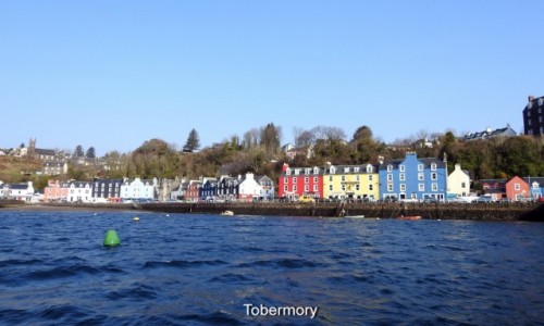 Zdjcie SZKOCJA / Mull / Tobermory / Domki