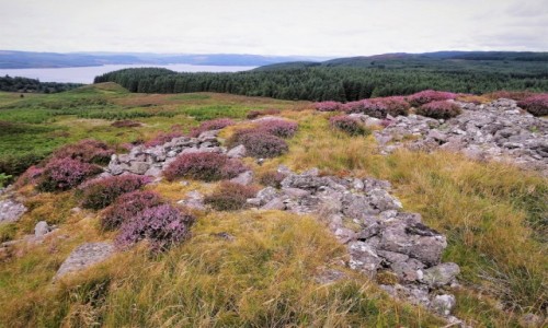 Zdjcie SZKOCJA / Pwysep Cowal / Kamienny fort BARR IOLA / Wrzosowo i prehistorycznie