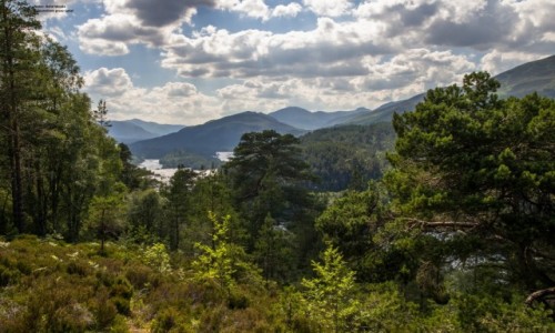 Zdjcie SZKOCJA / highlands / glen affric / Wrota Raju