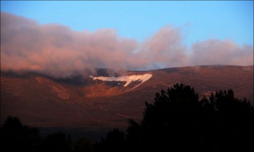 Zdjecie SZKOCJA / brak / Glenmoore Wildlife Park / zachd soca w Highlandach