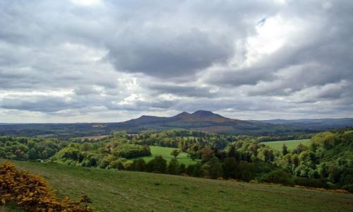 Zdjcie SZKOCJA / Scottish Borders / okolice Dryburgha (droga B6356) / Scott