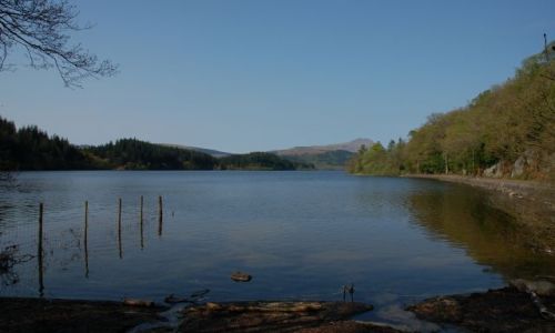 Zdjecie SZKOCJA / Zach. Szkocja / Niedaleko Stirling / W drodze na Loch Katrine