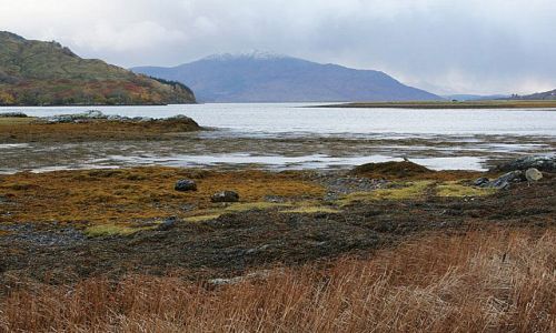 Zdjecie SZKOCJA / brak / Okolice Zamku Eilean Donan / IX