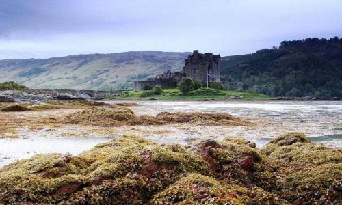 Zdjcie SZKOCJA / Highland / Loch Duich  (  Dornie  ) / Eilean  Donan  Castle
