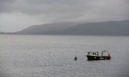 Zdjecie SZKOCJA / Pogórze / brak / Loch Alsh