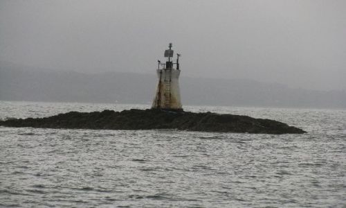 Zdjcie SZKOCJA / Zachodnia Szkocja / brak / port Mallaig