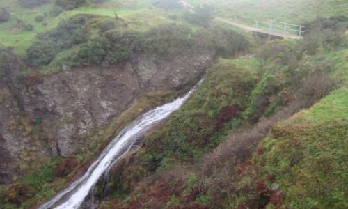 Zdjecie SZKOCJA / OKOLICE ABERDEEN / Dunnottar Castle / NATURA