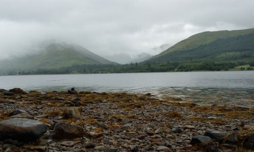 Zdjęcie SZKOCJA / - / Fine / Loch Fine