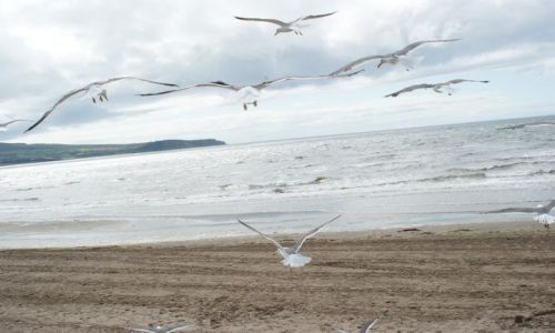 Zdjęcie SZKOCJA / - / Ayr / Odlot