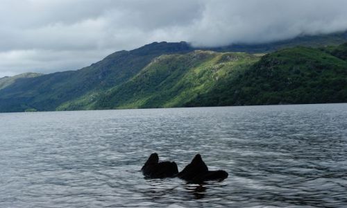 Zdjęcie SZKOCJA / - / Loch Lomond / Loch Lomond